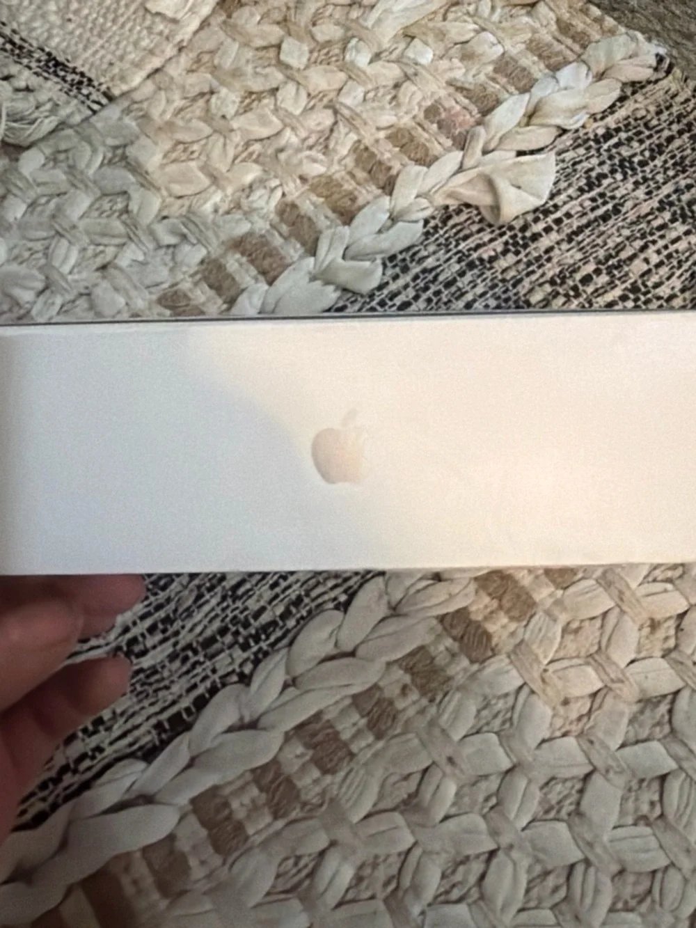 Apple iPad box— White Box with Yellow, Pink & Blue Oval Artwork